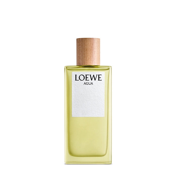 Buy AGUA by LOEWE Perfumes at The C of Cosmetics