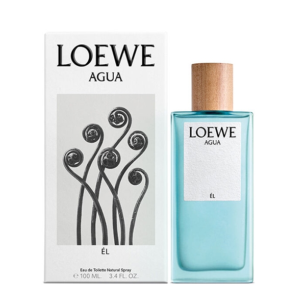 Buy AGUA El by LOEWE Perfumes at The C of Cosmetics